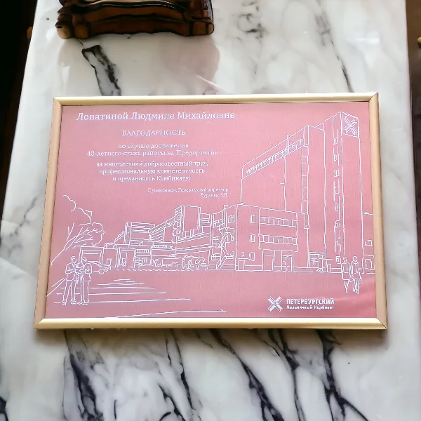 Дипломы наградные из алюминия с печатью в профиле